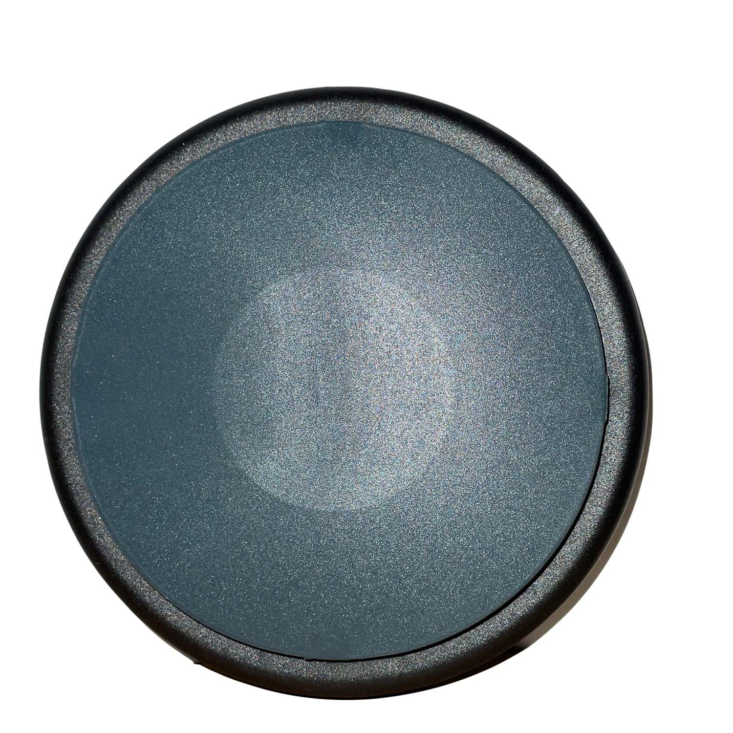 Wheel for Aqua Pro Steamer