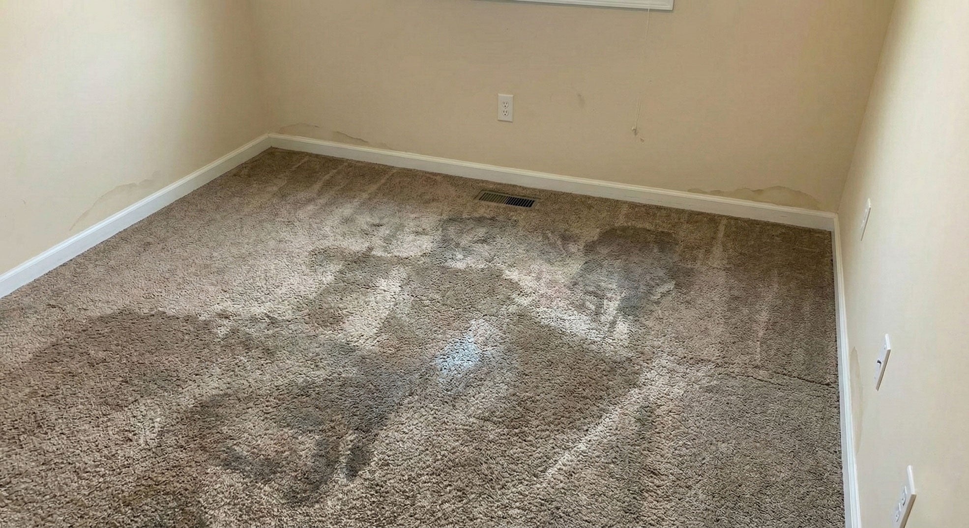 Water Damage Restoration Carpet Extractor Guide