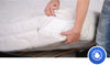 Bedbug Elimination
